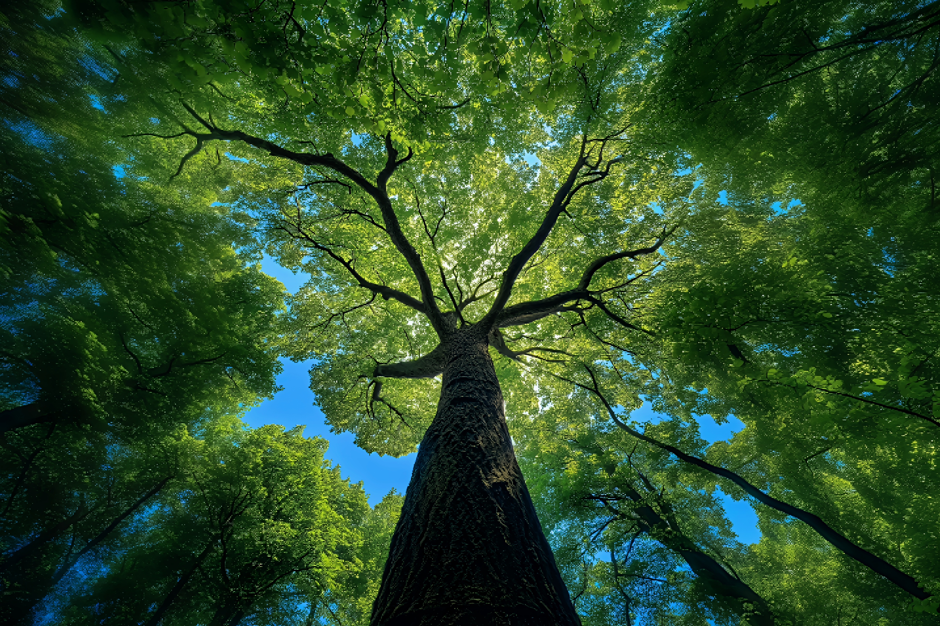 博客网站开发日记260303