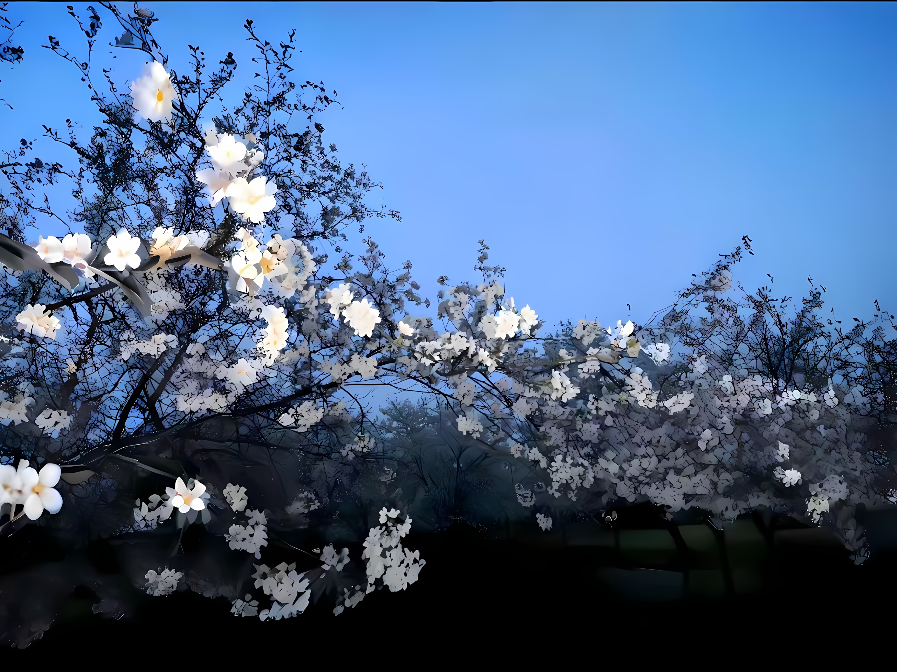 Python 基础入门：条件判断、循环与函数实战解析